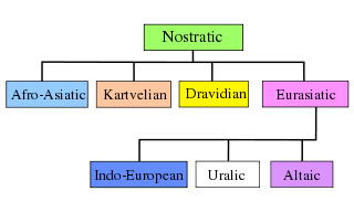 Ностратическое языковое дерево
